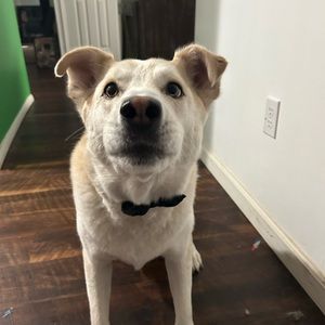 Meet your Posher, Jordyn